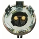 Purchase Top-Quality Lamp Socket by BLUE STREAK (HYGRADE MOTOR) - HP4570 pa20