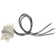 Purchase Top-Quality Lamp Socket by BLUE STREAK (HYGRADE MOTOR) - HP4640 pa12
