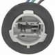 Purchase Top-Quality Lamp Socket by BLUE STREAK (HYGRADE MOTOR) - HP4645 pa26