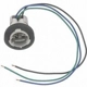 Purchase Top-Quality Lamp Socket by BLUE STREAK (HYGRADE MOTOR) - HP4645 pa29