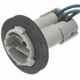 Purchase Top-Quality Lamp Socket by BLUE STREAK (HYGRADE MOTOR) - HP4645 pa30