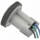Purchase Top-Quality Lamp Socket by BLUE STREAK (HYGRADE MOTOR) - HP4645 pa31