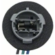 Purchase Top-Quality Lamp Socket by BLUE STREAK (HYGRADE MOTOR) - HP4645 pa32