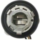 Purchase Top-Quality Lamp Socket by BLUE STREAK (HYGRADE MOTOR) - HP4660 pa22