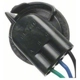 Purchase Top-Quality Lamp Socket by BLUE STREAK (HYGRADE MOTOR) - HP4680 pa21