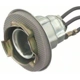Purchase Top-Quality Lamp Socket by BLUE STREAK (HYGRADE MOTOR) - HP4690 pa8