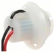 Purchase Top-Quality Lamp Socket by BLUE STREAK (HYGRADE MOTOR) - HP4730 pa1
