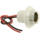 Purchase Top-Quality Lamp Socket by BLUE STREAK (HYGRADE MOTOR) - HP4730 pa2