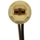 Purchase Top-Quality Lamp Socket by BLUE STREAK (HYGRADE MOTOR) - S100 pa3