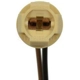 Purchase Top-Quality Lamp Socket by BLUE STREAK (HYGRADE MOTOR) - S100 pa47