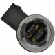 Purchase Top-Quality Lamp Socket by BLUE STREAK (HYGRADE MOTOR) - S2139 pa21