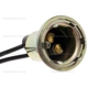 Purchase Top-Quality Lamp Socket by BLUE STREAK (HYGRADE MOTOR) - S32 pa1