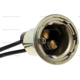 Purchase Top-Quality Lamp Socket by BLUE STREAK (HYGRADE MOTOR) - S32 pa18