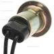 Purchase Top-Quality Lamp Socket by BLUE STREAK (HYGRADE MOTOR) - S32 pa19