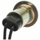 Purchase Top-Quality Lamp Socket by BLUE STREAK (HYGRADE MOTOR) - S32 pa28
