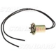 Purchase Top-Quality Lamp Socket by BLUE STREAK (HYGRADE MOTOR) - S32 pa29