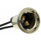 Purchase Top-Quality Lamp Socket by BLUE STREAK (HYGRADE MOTOR) - S32 pa31