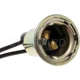 Purchase Top-Quality Lamp Socket by BLUE STREAK (HYGRADE MOTOR) - S32 pa32