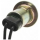 Purchase Top-Quality Lamp Socket by BLUE STREAK (HYGRADE MOTOR) - S32 pa34