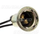 Purchase Top-Quality Lamp Socket by BLUE STREAK (HYGRADE MOTOR) - S32 pa35