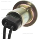 Purchase Top-Quality Lamp Socket by BLUE STREAK (HYGRADE MOTOR) - S32 pa4