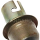 Purchase Top-Quality Lamp Socket by BLUE STREAK (HYGRADE MOTOR) - S36N pa1