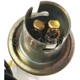 Purchase Top-Quality Lamp Socket by BLUE STREAK (HYGRADE MOTOR) - S36N pa11