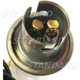 Purchase Top-Quality Lamp Socket by BLUE STREAK (HYGRADE MOTOR) - S36N pa13