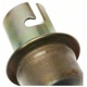 Purchase Top-Quality Lamp Socket by BLUE STREAK (HYGRADE MOTOR) - S36N pa9