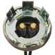 Purchase Top-Quality Lamp Socket by BLUE STREAK (HYGRADE MOTOR) - S44 pa14