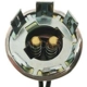 Purchase Top-Quality Lamp Socket by BLUE STREAK (HYGRADE MOTOR) - S44 pa3