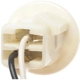 Purchase Top-Quality Lamp Socket by BLUE STREAK (HYGRADE MOTOR) - S49 pa14