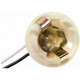 Purchase Top-Quality Lamp Socket by BLUE STREAK (HYGRADE MOTOR) - S49 pa17