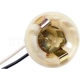 Purchase Top-Quality Lamp Socket by BLUE STREAK (HYGRADE MOTOR) - S49 pa18