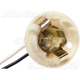 Purchase Top-Quality Lamp Socket by BLUE STREAK (HYGRADE MOTOR) - S49 pa20
