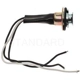 Purchase Top-Quality Lamp Socket by BLUE STREAK (HYGRADE MOTOR) - S504 pa13