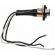 Purchase Top-Quality Lamp Socket by BLUE STREAK (HYGRADE MOTOR) - S504 pa19