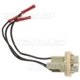 Purchase Top-Quality Lamp Socket by BLUE STREAK (HYGRADE MOTOR) - S510 pa27