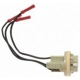 Purchase Top-Quality Lamp Socket by BLUE STREAK (HYGRADE MOTOR) - S510 pa28