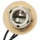 Purchase Top-Quality Lamp Socket by BLUE STREAK (HYGRADE MOTOR) - S510 pa29