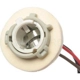 Purchase Top-Quality Lamp Socket by BLUE STREAK (HYGRADE MOTOR) - S512 pa17