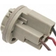 Purchase Top-Quality Lamp Socket by BLUE STREAK (HYGRADE MOTOR) - S512 pa19