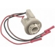 Purchase Top-Quality Lamp Socket by BLUE STREAK (HYGRADE MOTOR) - S512 pa21