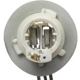 Purchase Top-Quality Lamp Socket by BLUE STREAK (HYGRADE MOTOR) - S533 pa13