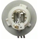 Purchase Top-Quality Lamp Socket by BLUE STREAK (HYGRADE MOTOR) - S533 pa16