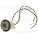 Purchase Top-Quality Lamp Socket by BLUE STREAK (HYGRADE MOTOR) - S54 pa17