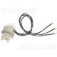 Purchase Top-Quality Lamp Socket by BLUE STREAK (HYGRADE MOTOR) - S547 pa29