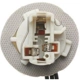 Purchase Top-Quality Lamp Socket by BLUE STREAK (HYGRADE MOTOR) - S547 pa31