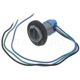 Purchase Top-Quality Lamp Socket by BLUE STREAK (HYGRADE MOTOR) - S548 pa11