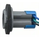 Purchase Top-Quality Lamp Socket by BLUE STREAK (HYGRADE MOTOR) - S548 pa22